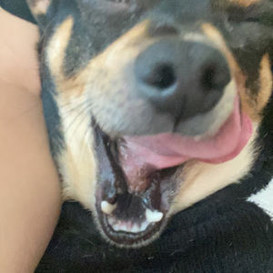 Meet your Posher, Ella